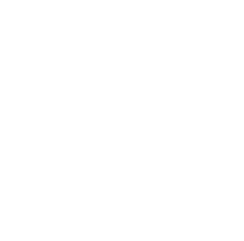 Издательский Дом «BadrBook»